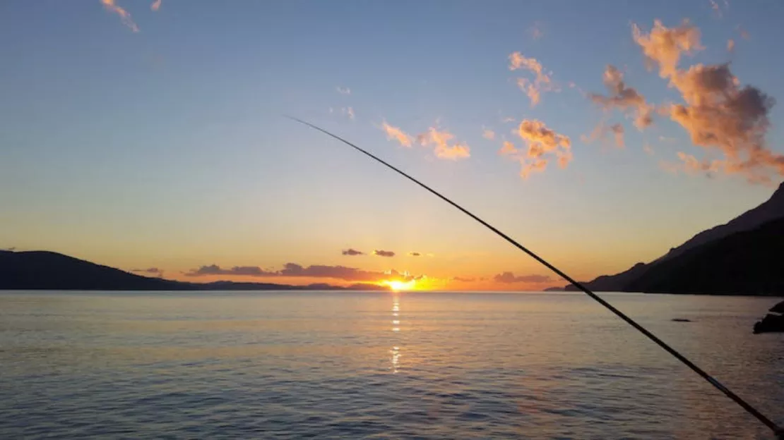 Alpes du sud : réouverture de la pêche