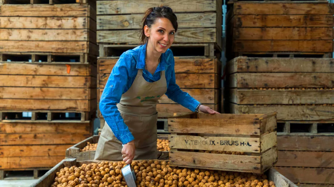 Hautes-Alpes : 10 médailles déjà au concours général agricole