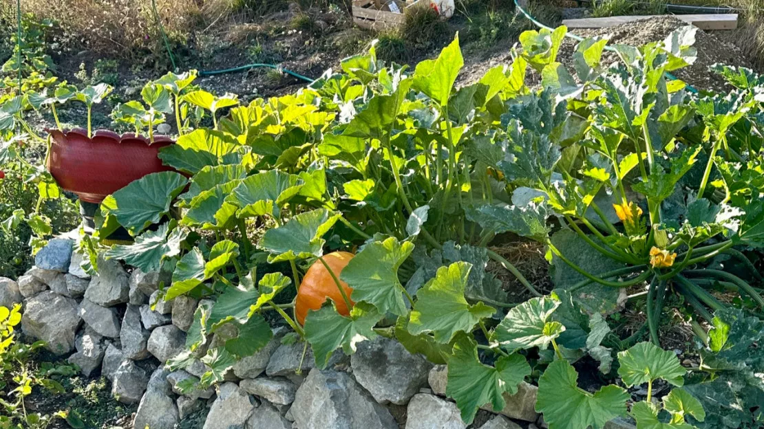 Hautes-Alpes : Briançon inaugure des jardins partagés sur le site des Fontaines