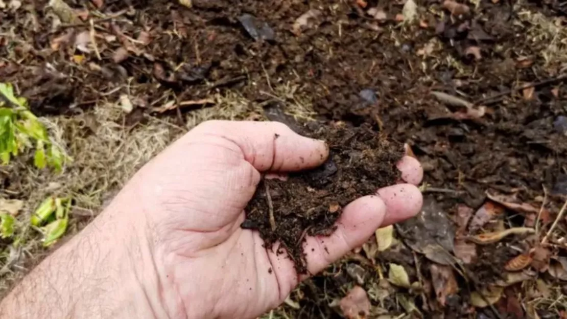 Hautes-Alpes : compost, les jardiniers invités à se servir