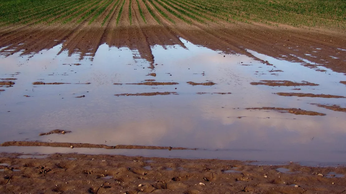 Hautes-Alpes : la calamité agricole reconnue pour neuf communes du département