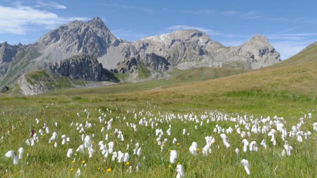Hautes-Alpes : la plus vieille "pierre" des Alpes est à Serre-Chevalier !