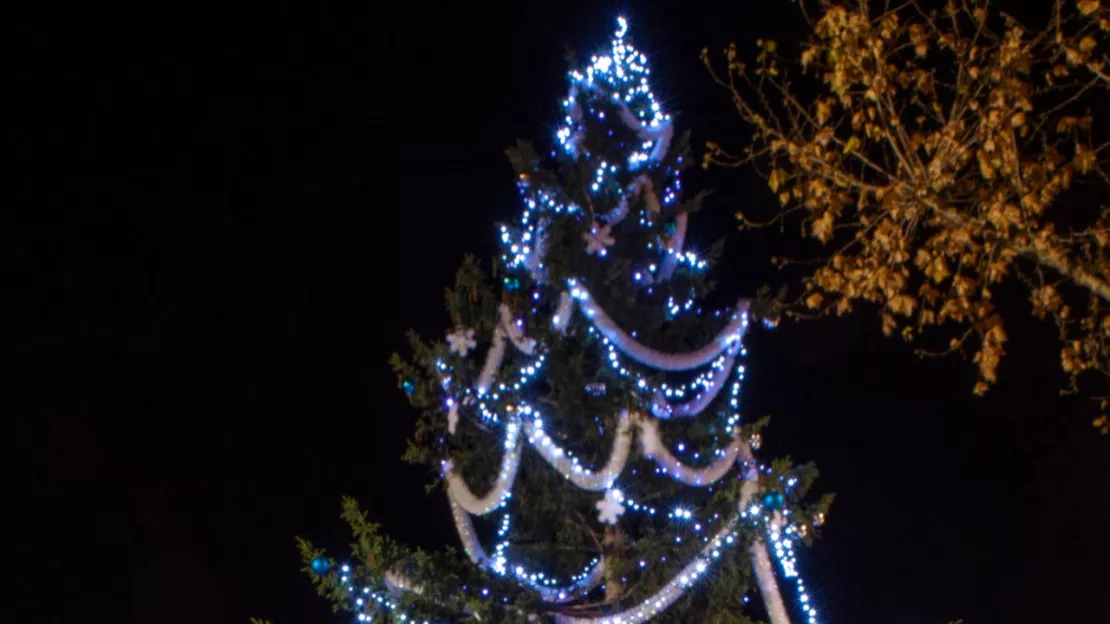 Hautes-Alpes : la ville de Gap cherche son sapin de Noël