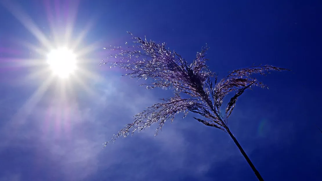 Hautes-Alpes : le département placé en vigilance « jaune » canicule