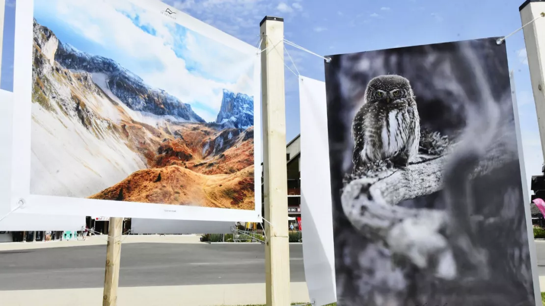 Hautes-Alpes : le Dévoluy montre la montagne qu’on aime en image