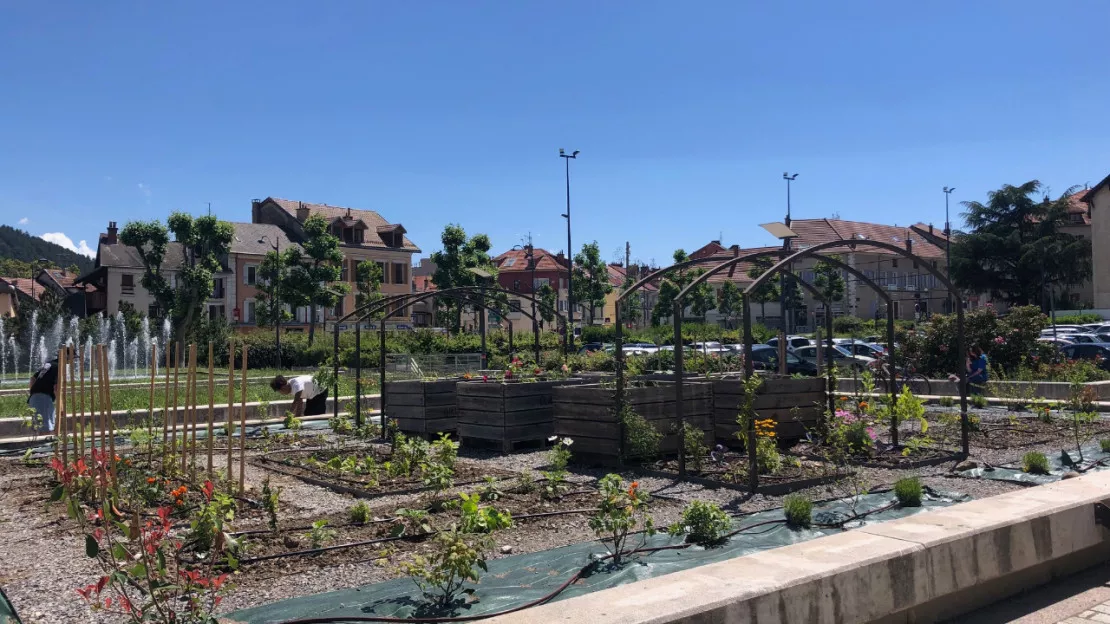 Hautes-Alpes : le jardin partagé de la place Verdun à Gap ouvre au public