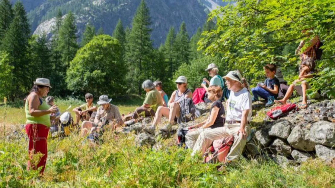 Hautes-Alpes : le Pays des Écrins à l’heure du conte