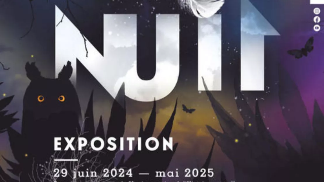 Hautes-Alpes : Nuit, une exposition à découvrir au Musée Muséum départemental