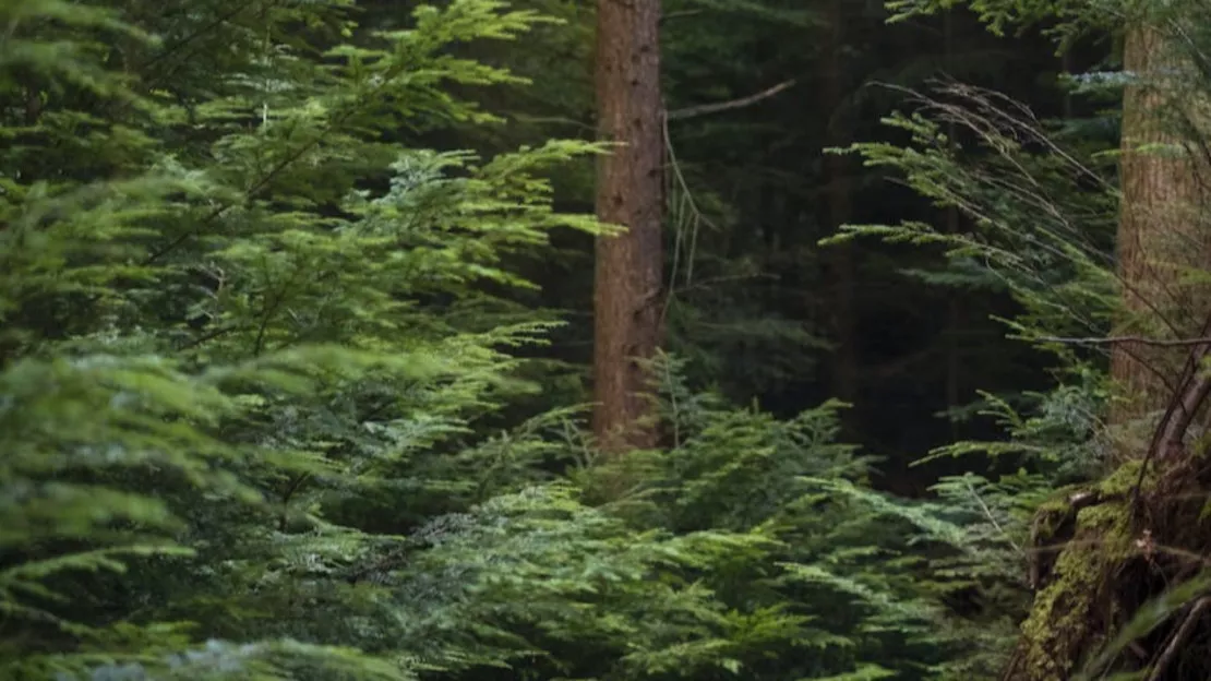 Hautes-Alpes : partage des espaces naturels du Queyras