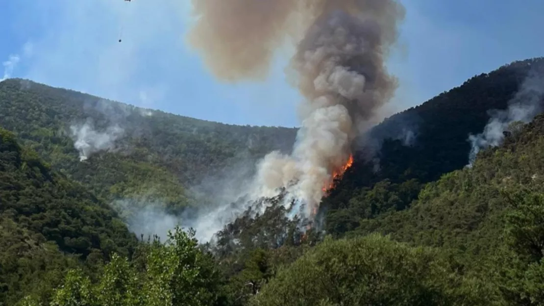 Hautes-Alpes : point sur les feux de forêt du département