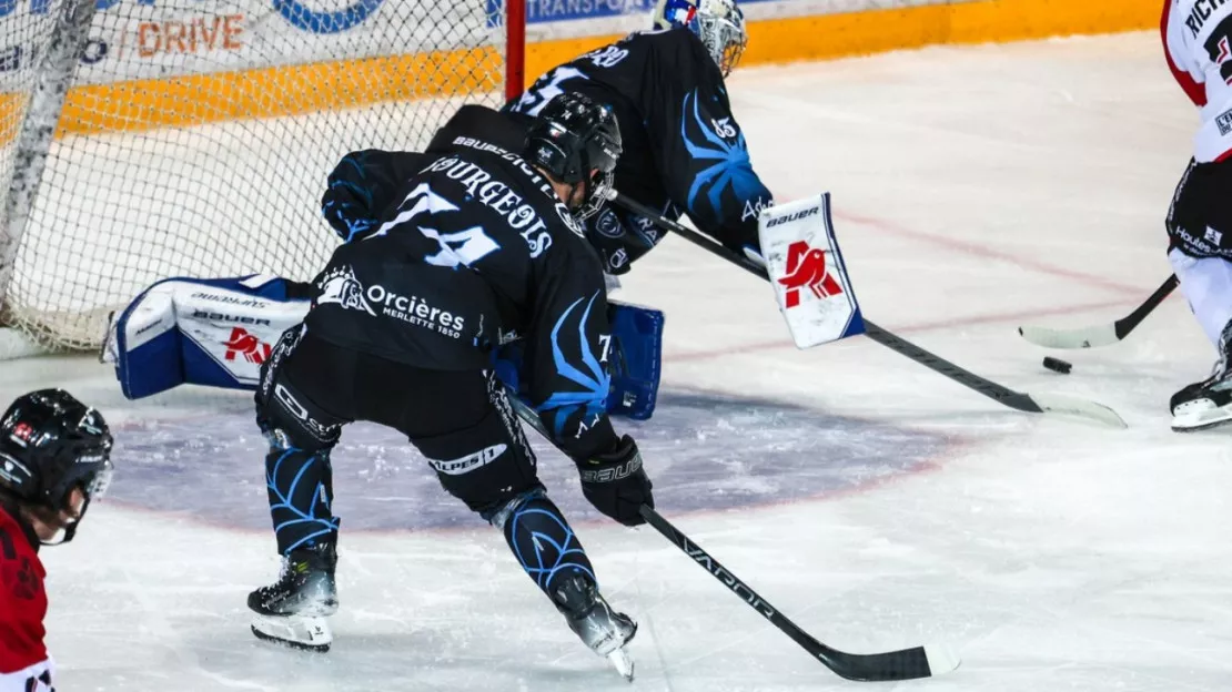 Hautes-Alpes : Rapaces, se relever en Magnus après la déception de la Coupe de France