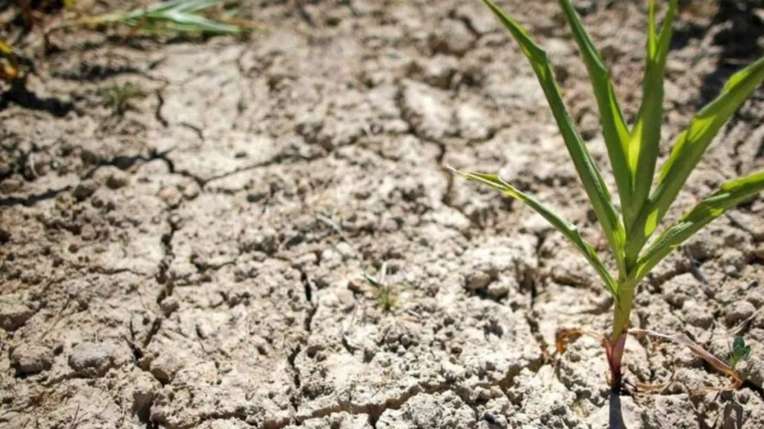 Hautes-Alpes : reconnaissance de l’état de catastrophe naturelle pour la commune de Valserres