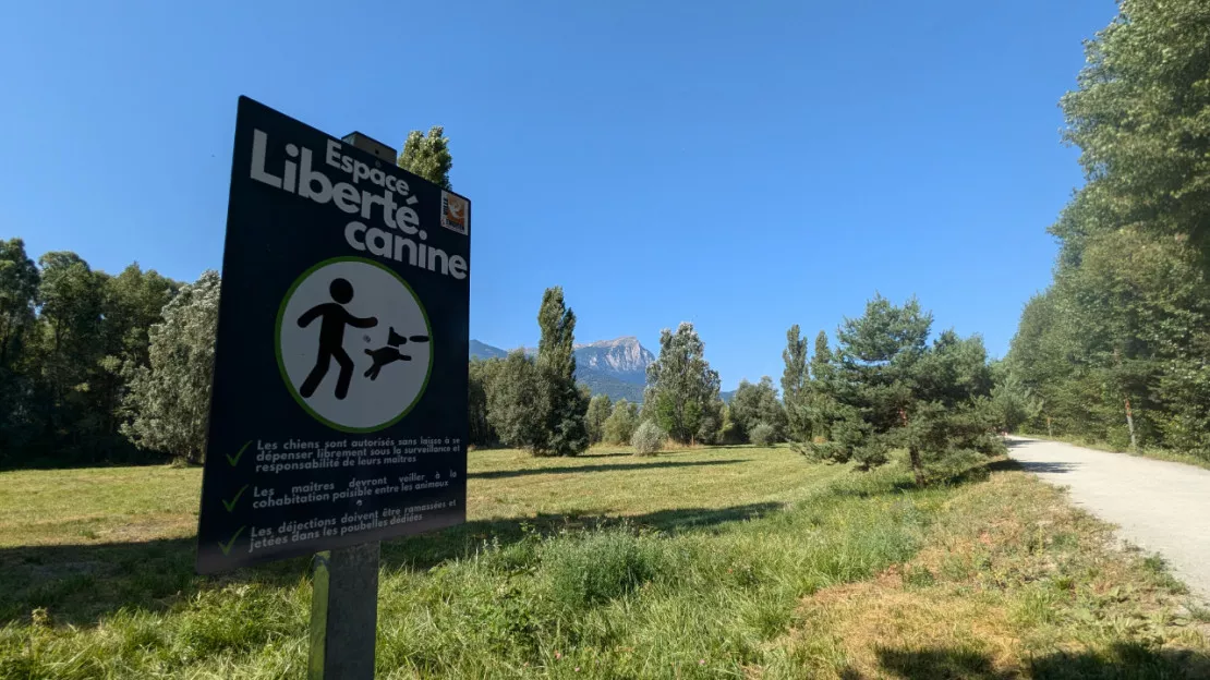 Hautes-Alpes : un espace de liberté canine instauré au plan d’eau d’Embrun