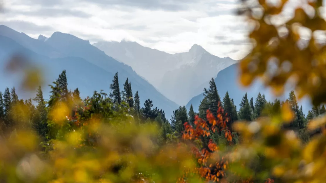 Hautes-Alpes : un festival pour se reconnecter à soi, aux autres et à la nature