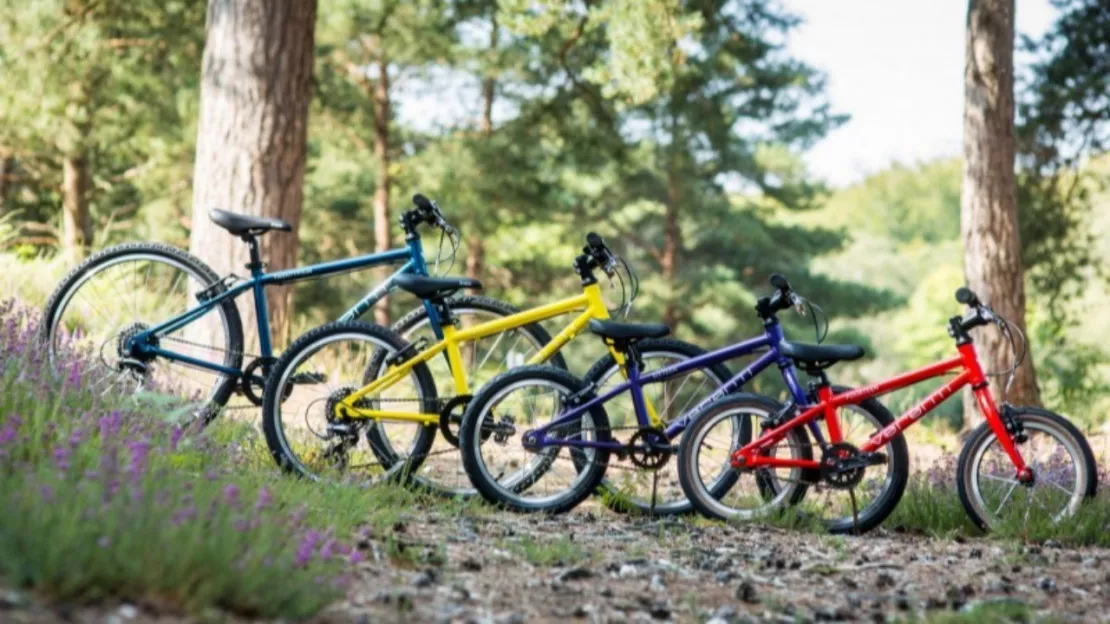 Hautes-Alpes : une bourse aux vélos pour les enfants à Gap