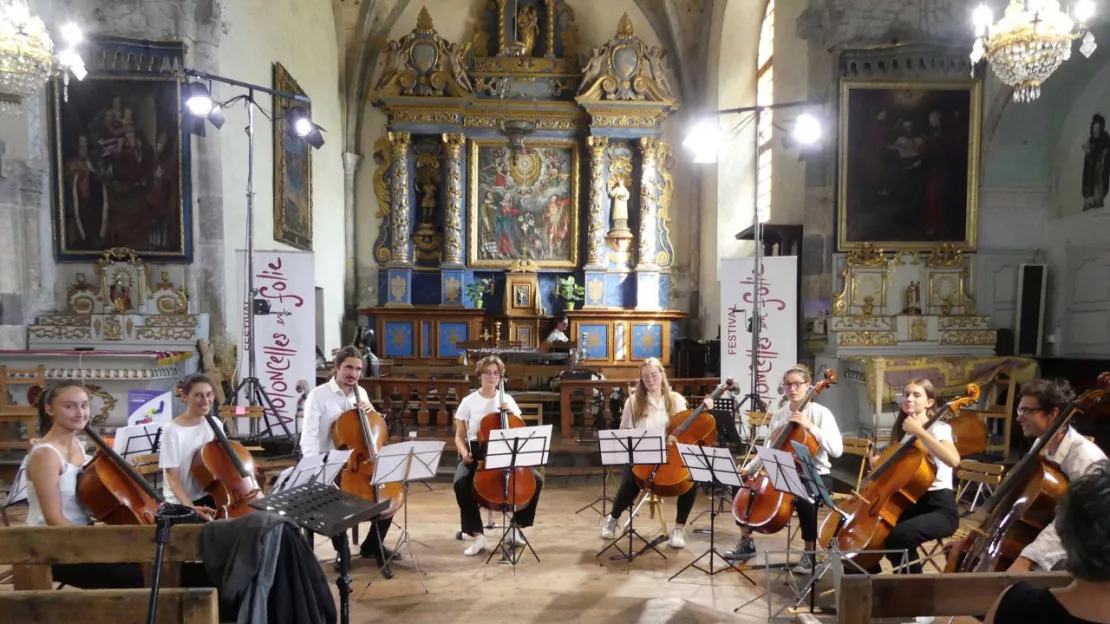 Hautes-Alpes : une centaine de violoncellistes de toute l'Europe investit le Briançonnais