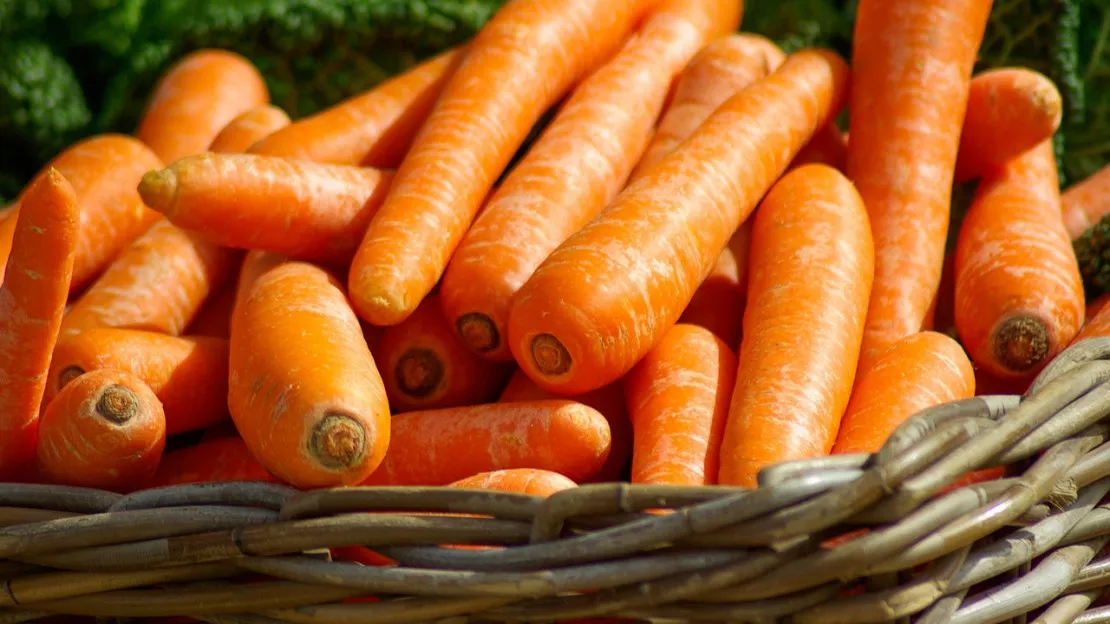 Hautes-Alpes : une opération de vente au prix juste pour nos agriculteurs