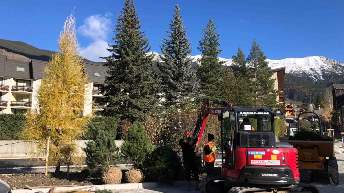 Hautes-Alpes : une quarantaine d’arbres plantés au cœur de Saint-Chaffrey