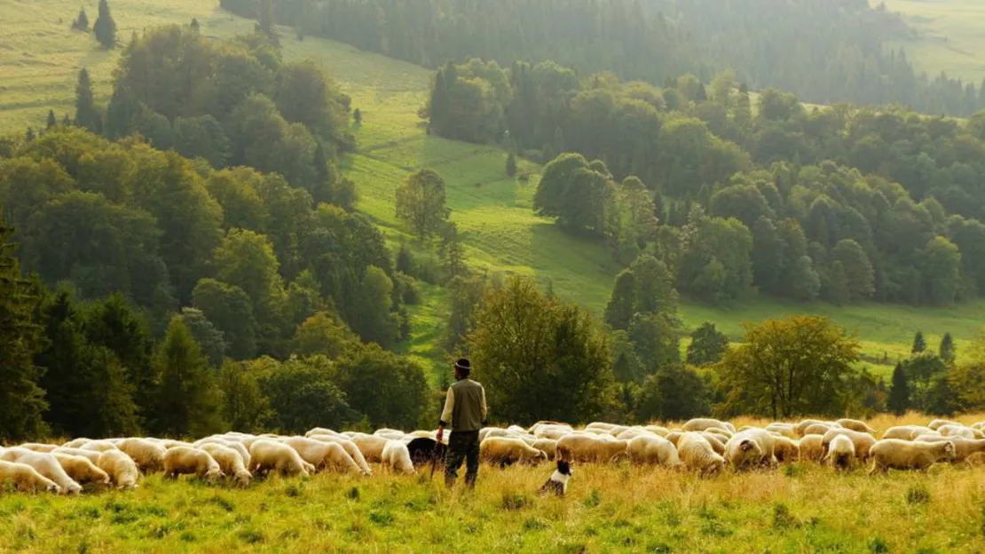 Région : agriculture, un fonds d’aide à la trésorerie de 5 millions d’euros lancé