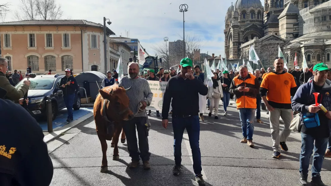 Région : les agriculteurs investissent la cité phocéenne