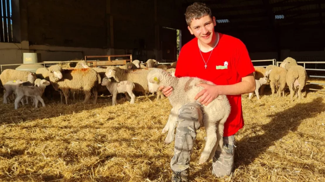 Région : un lycéen de Carmejane sacré Meilleur Berger