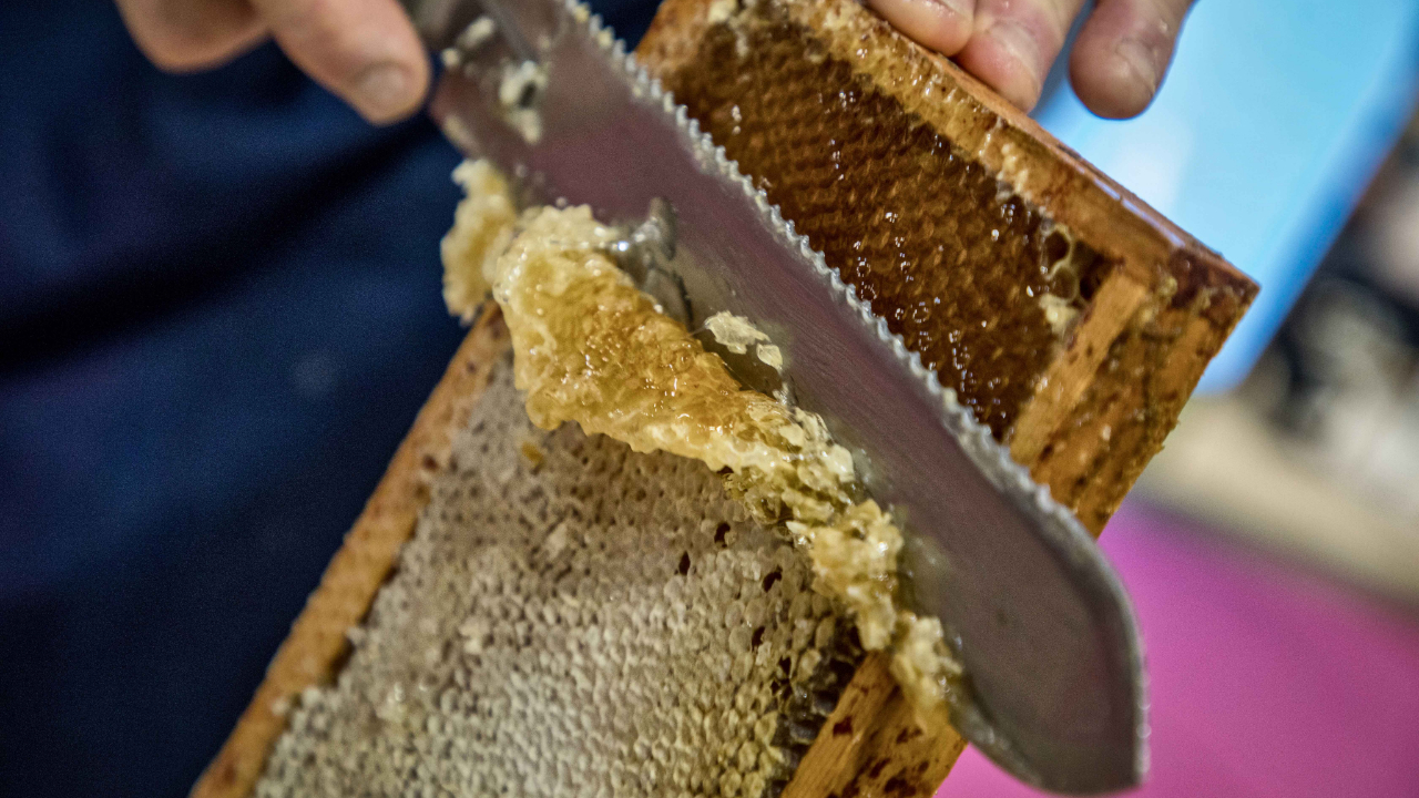 10 médailles pour les Hautes-Alpes lors du concours des Miels de France 10 médailles pour les Hautes-Alpes lors du concours des Miels de France
