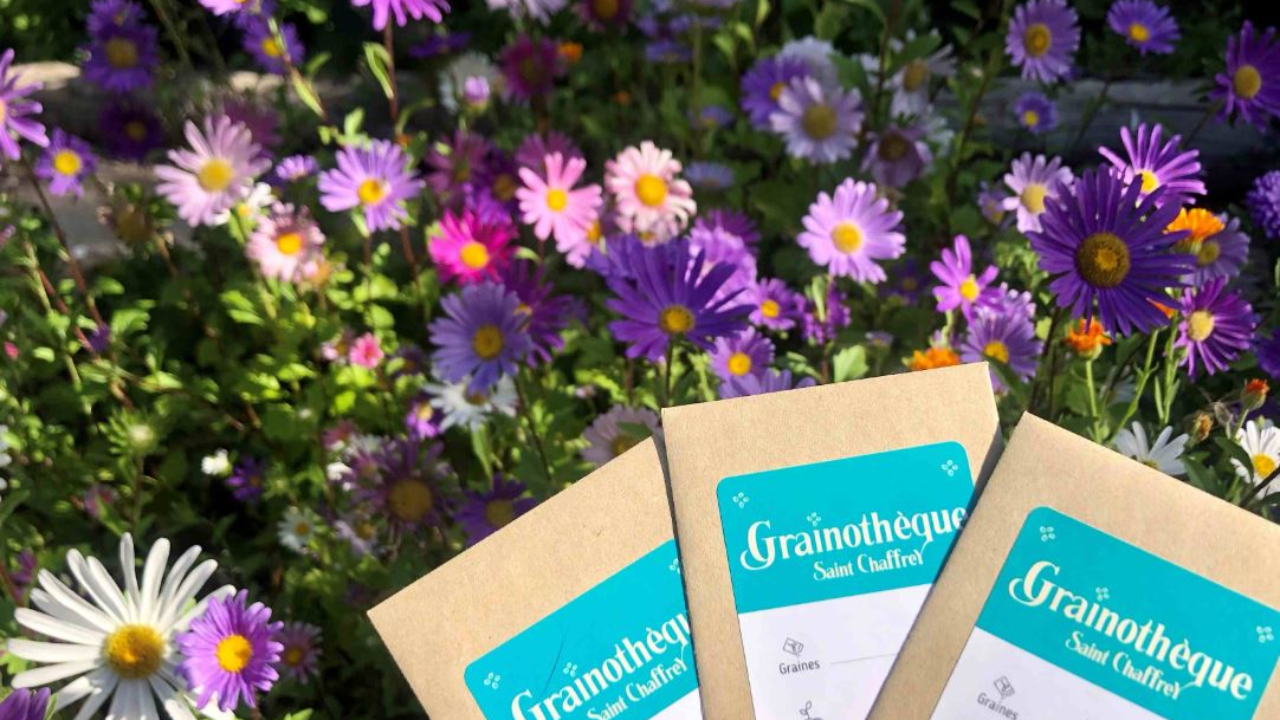 &Agrave; vos pioches, des nouveaut&eacute;s sont arriv&eacute;es &agrave; la Grainoth&egrave;que de Saint-Chaffrey