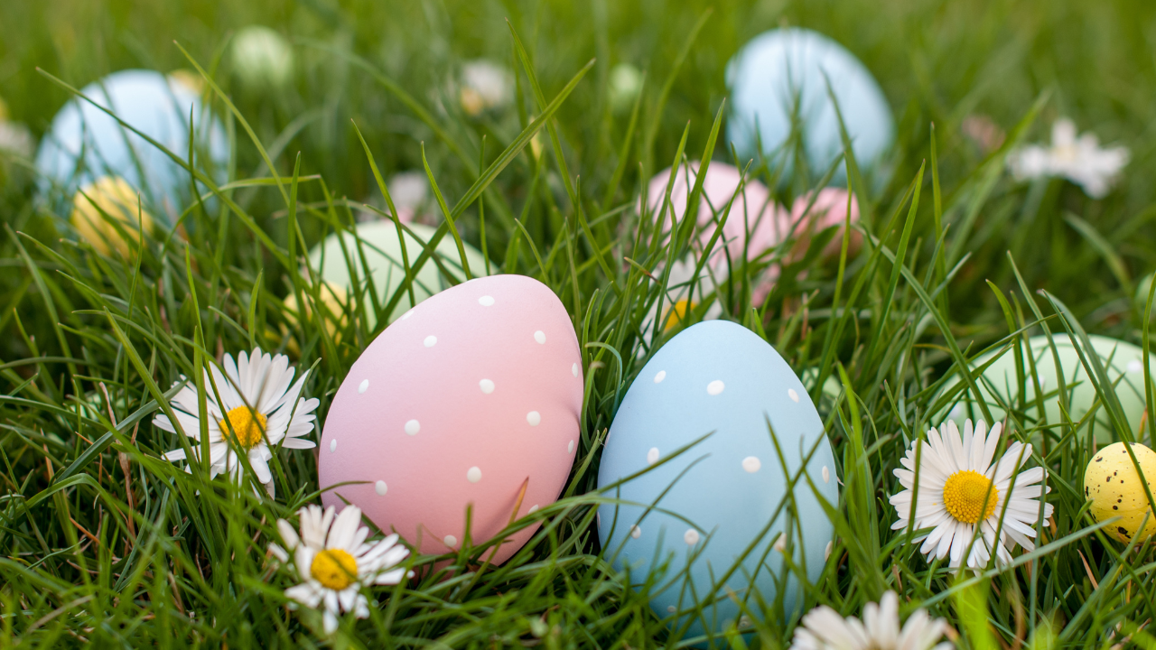 Alpes du Sud : o&ugrave; acheter vos meilleurs chocolats pour P&acirc;ques ?