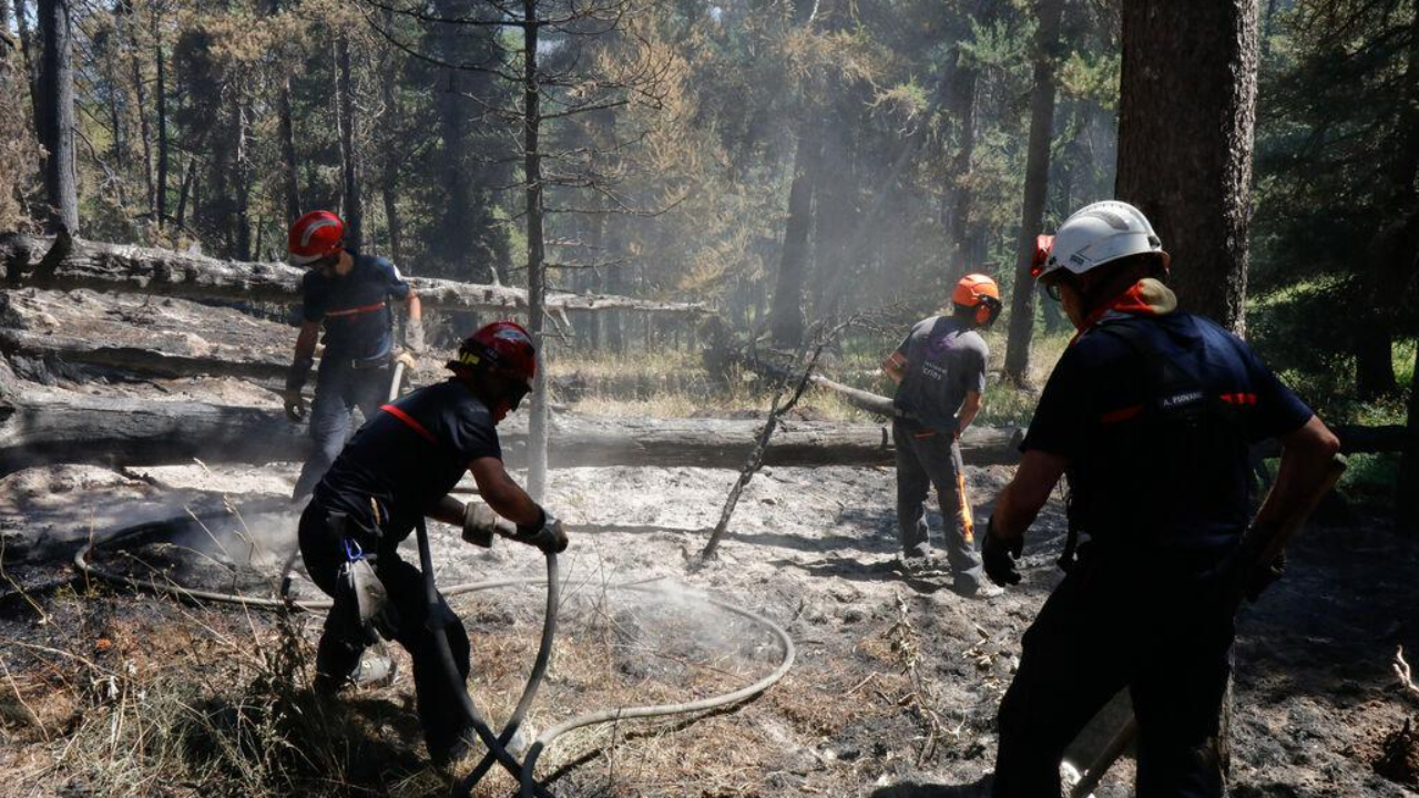 Bois Noir : après l’incendie, une zone refuge va être créée pour la faune sauvage, la chasse interdite ? Bois Noir : après l’incendie, une zone refuge va être créée pour la faune sauvage, la chasse interdite ?