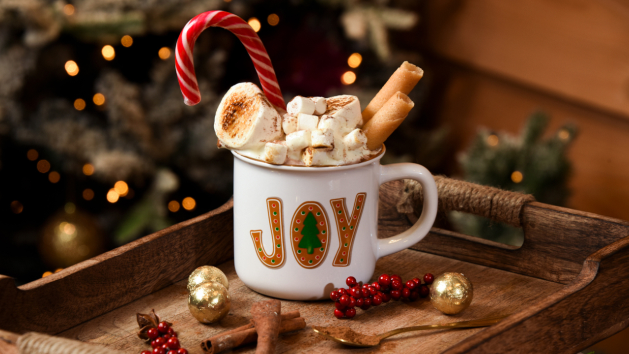 Des chambres d&rsquo;h&ocirc;tel transform&eacute;es en chalet de No&euml;l &agrave; St Bonnet en Champsaur