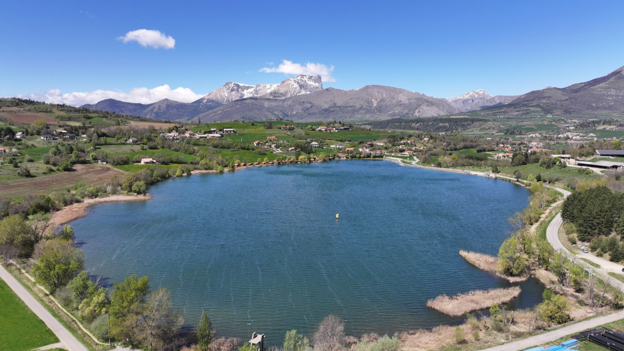Des chiens meurent d'une intoxication : le lac de Pelleautier &agrave; l'origine de ces d&eacute;c&egrave;s ?