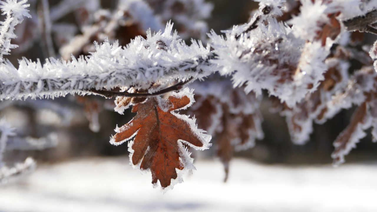 Des températures « glaciales » jusqu’à -20 degrés sur les Hautes-Alpes Des températures « glaciales » jusqu’à -20 degrés sur les Hautes-Alpes