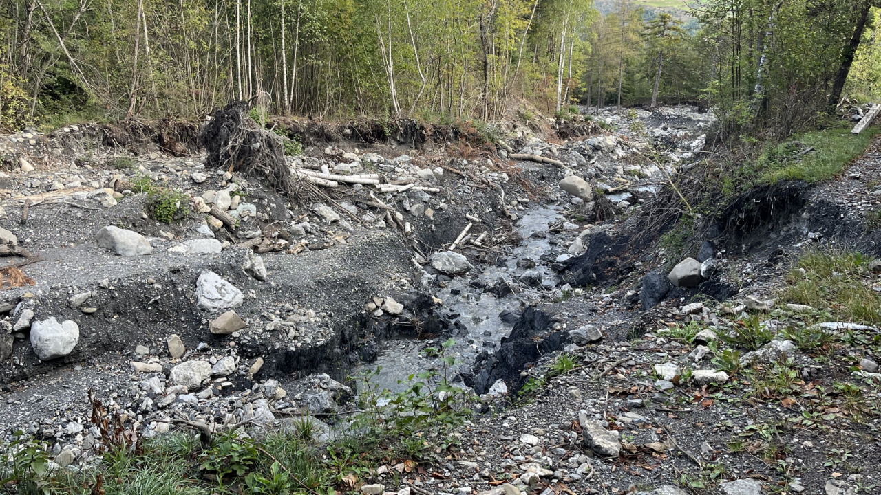 10 mois après les intempéries dans le Guillestrois, l'ONF panse toujours les plaies 10 mois après les intempéries dans le Guillestrois, l'ONF panse toujours les plaies