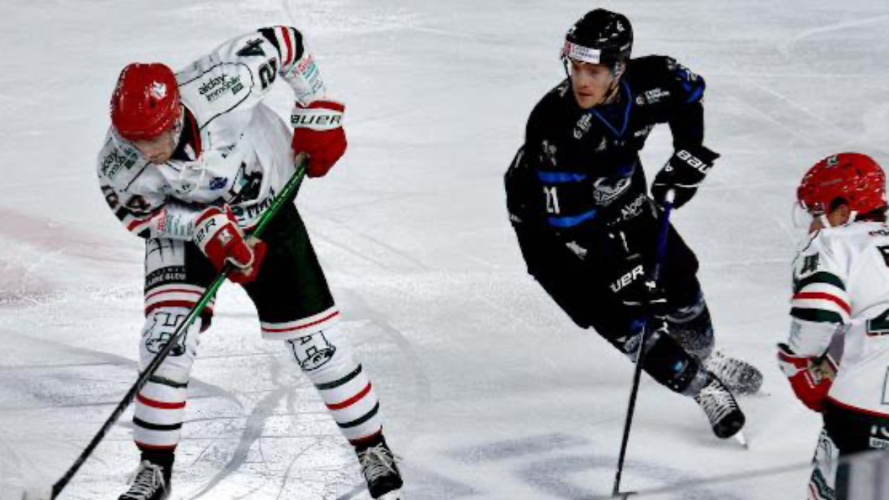 Hautes-Alpes : défaite des Rapaces de Gap ce samedi soir face à Anglet Hautes-Alpes : défaite des Rapaces de Gap ce samedi soir face à Anglet