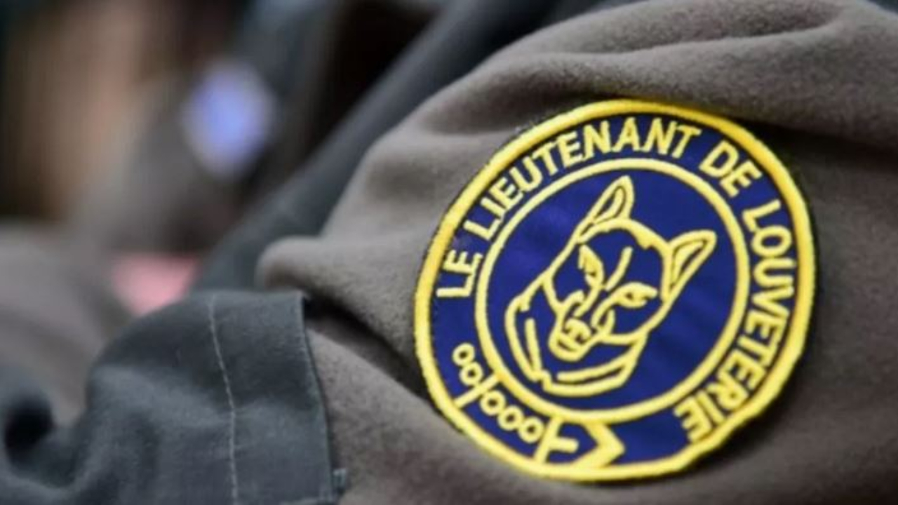 Hautes-Alpes : des lieutenants de louveterie recherchés sur le territoire Hautes-Alpes : des lieutenants de louveterie recherchés sur le territoire