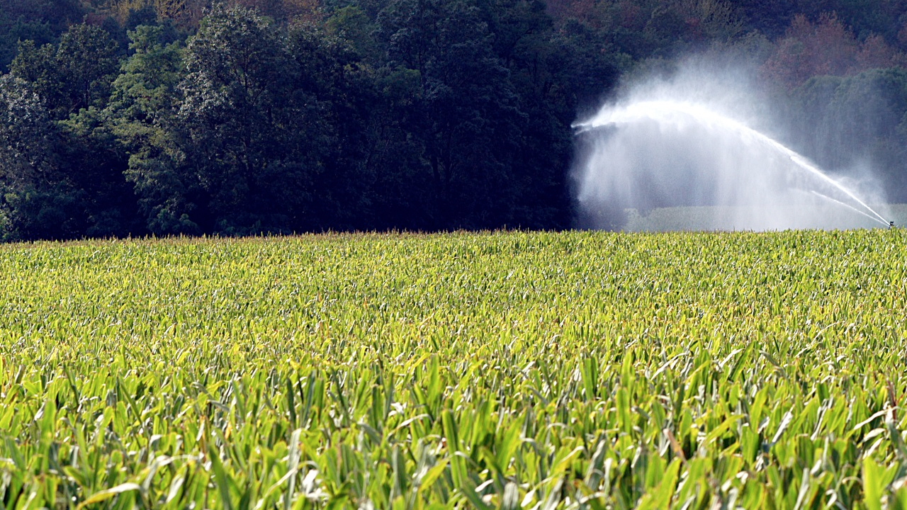 Hautes-Alpes : face aux restrictions d&rsquo;eau, des agriculteurs alertent sur un risque de "catastrophe"