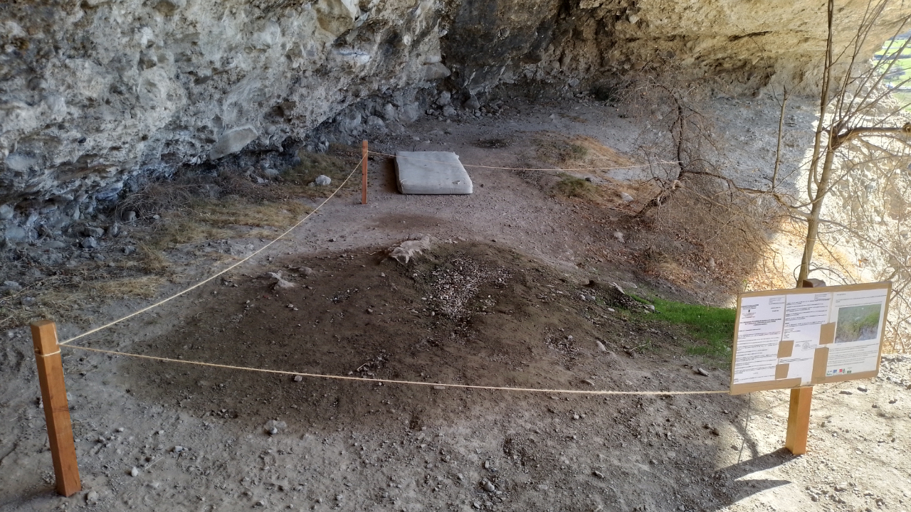 Hautes-Alpes : grimpeurs, prenez garde à ne pas piétiner une plante rare à Mont-Dauphin Hautes-Alpes : grimpeurs, prenez garde à ne pas piétiner une plante rare à Mont-Dauphin