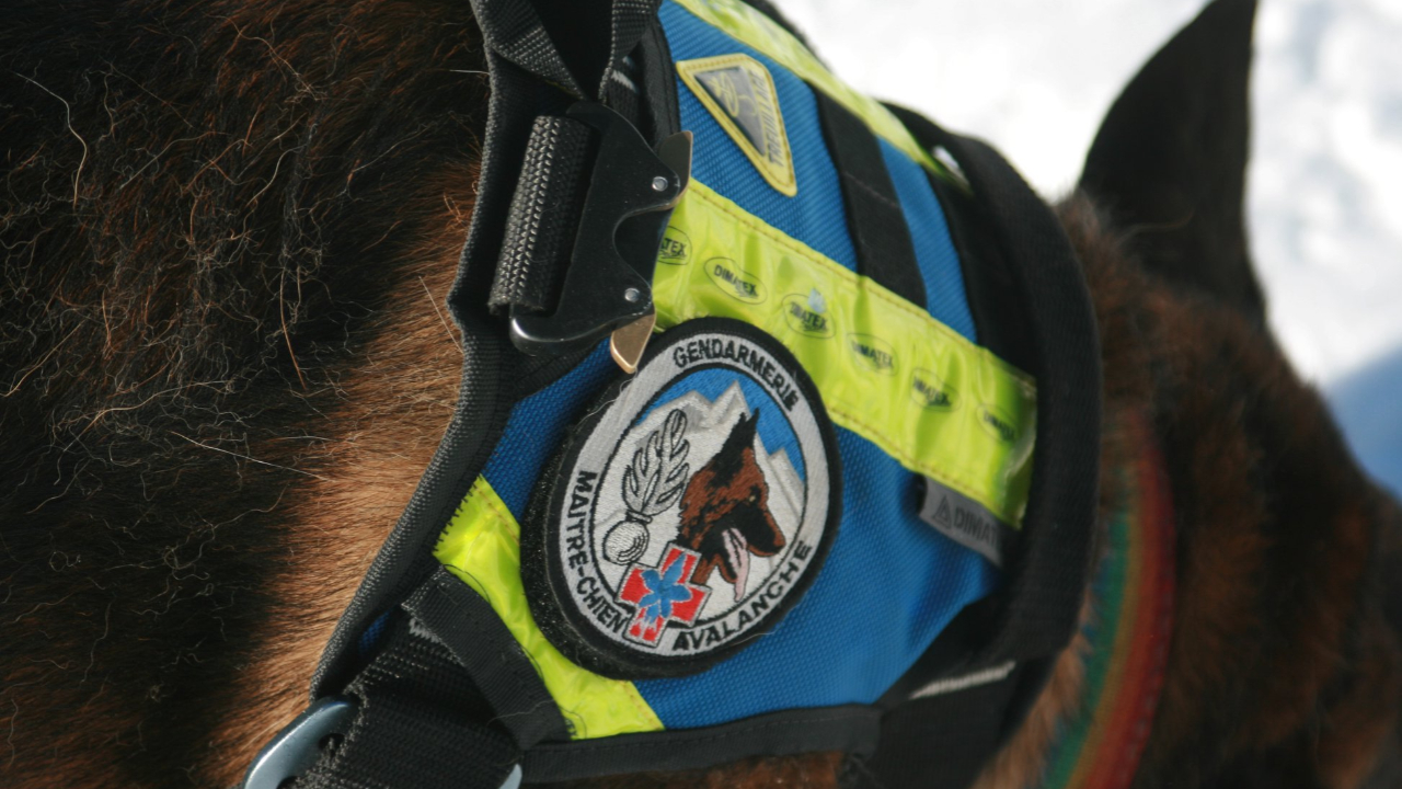 Hautes-Alpes : la CRS de Briançon mobilisée suite à une avalanche au Pic Blanc du Galibier Hautes-Alpes : la CRS de Briançon mobilisée suite à une avalanche au Pic Blanc du Galibier