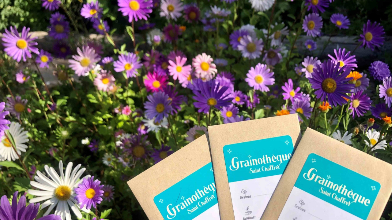 Hautes-Alpes : la grainoth&egrave;que reprend du service &agrave; Saint-Chaffrey