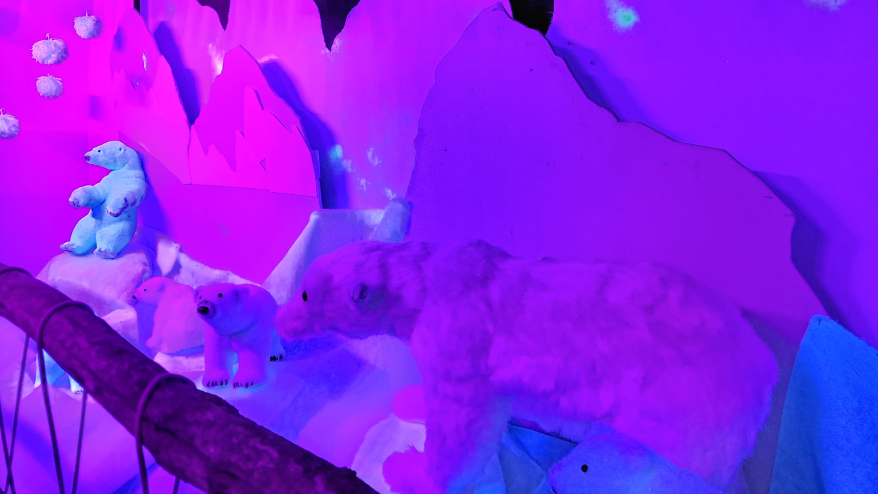 Hautes-Alpes : la magie de Noël s’installe dans le Pays des Écrins Hautes-Alpes : la magie de Noël s’installe dans le Pays des Écrins