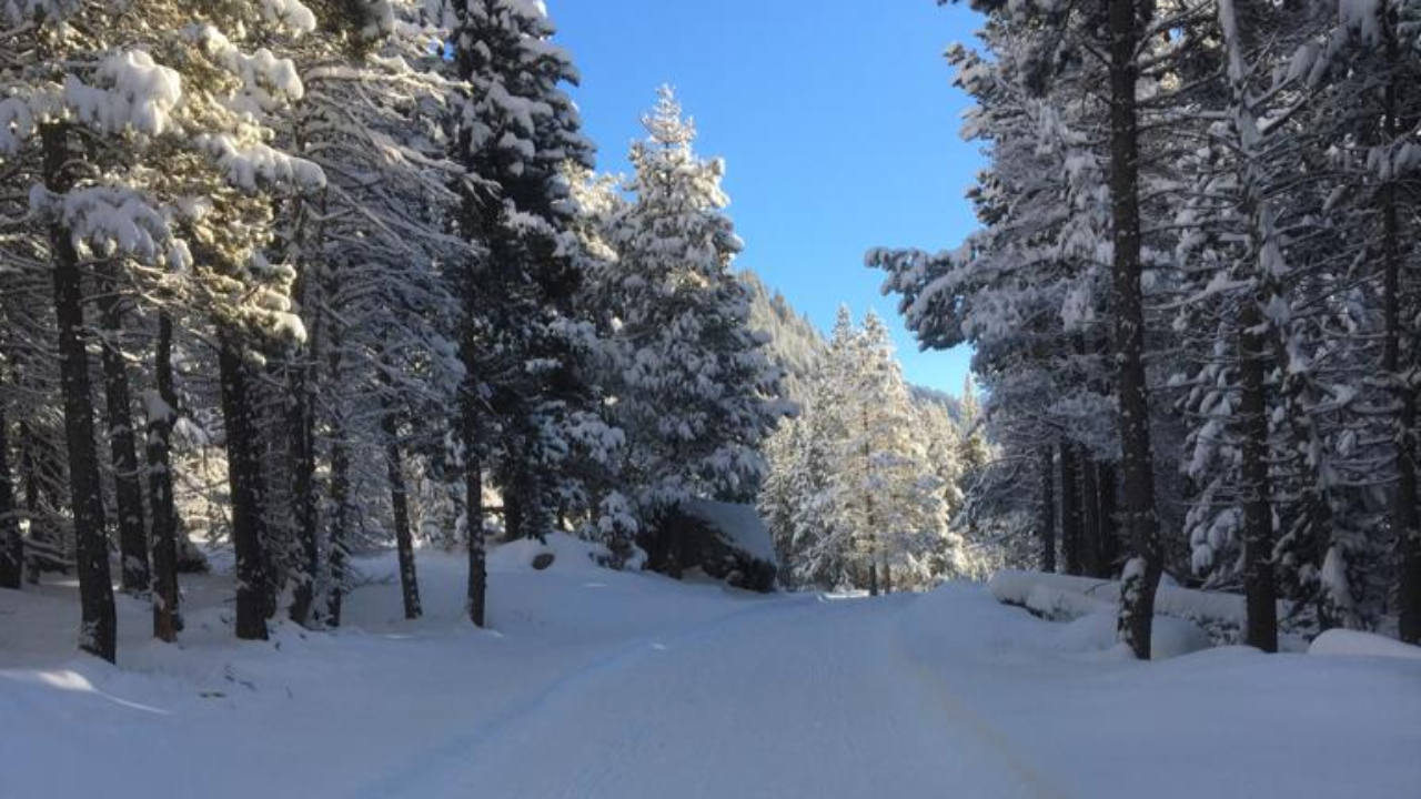 Hautes-Alpes : le domaine nordique du Queyras ouvre en anticipée