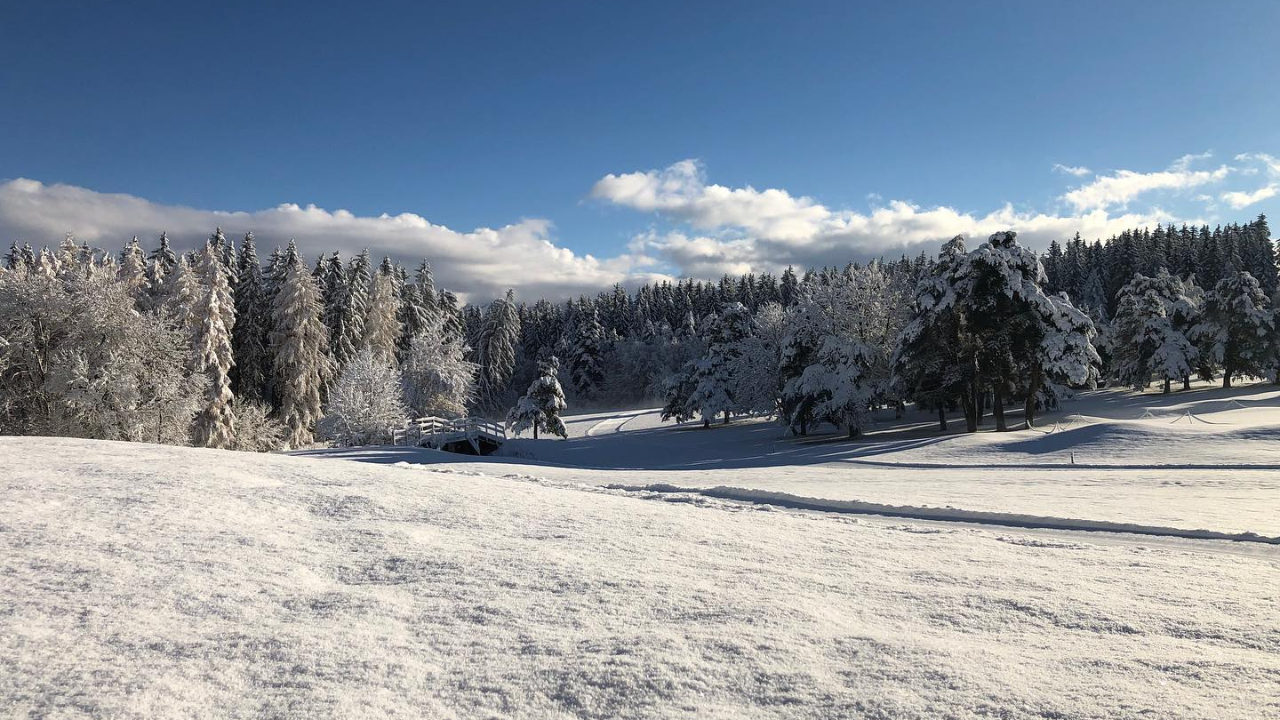 Hautes-Alpes : le retour de Gap Bayard au féminin