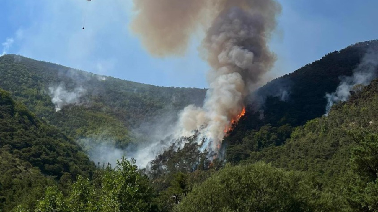 Hautes-Alpes : point sur les feux de forêt du département