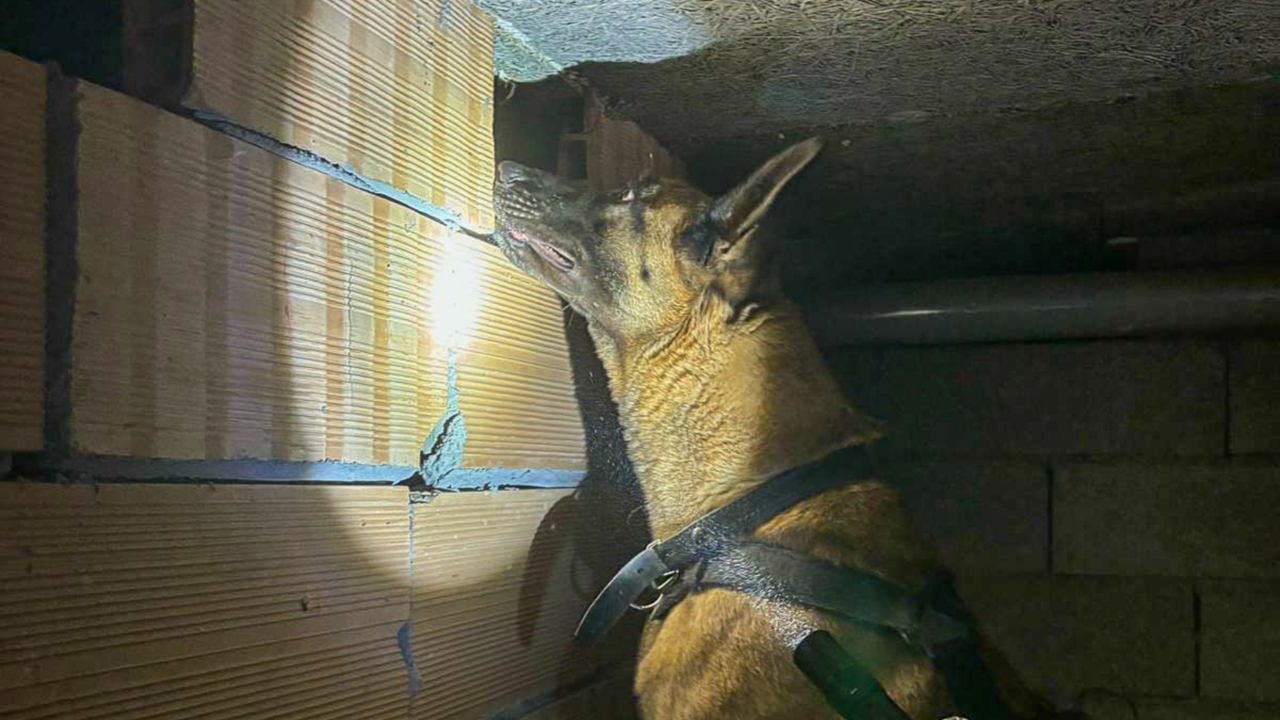 Hautes-Alpes : une condamnation suite &agrave; l'op&eacute;ration place nette &agrave; Brian&ccedil;on