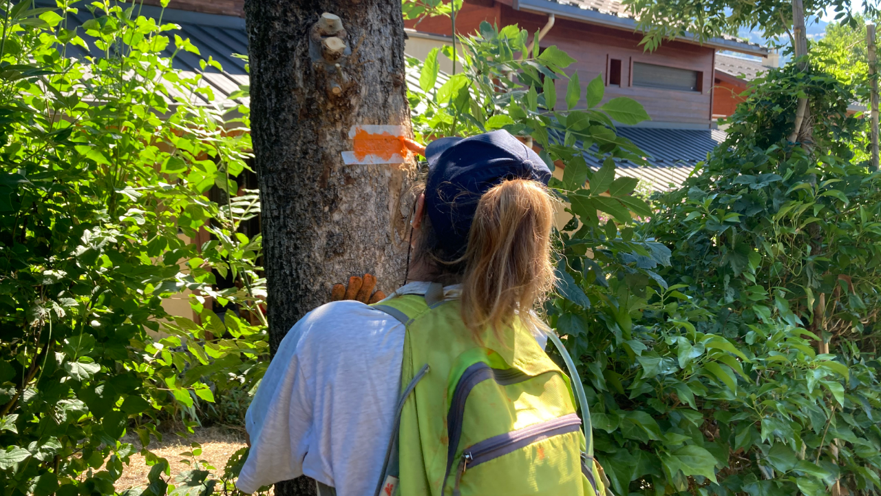 Hautes-Alpes : une formation de baliseur à Montmaur