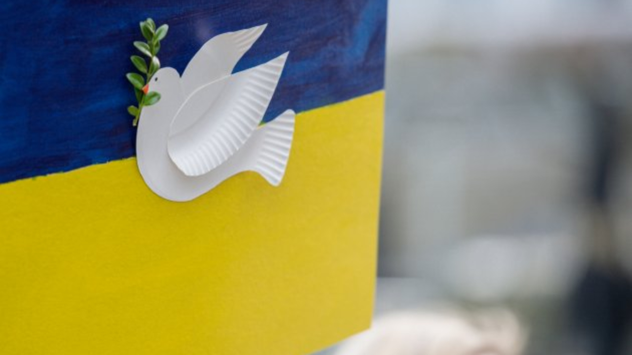 Hautes-Alpes : une mobilisation pour la paix à Gap ce vendredi Hautes-Alpes : une mobilisation pour la paix à Gap ce vendredi