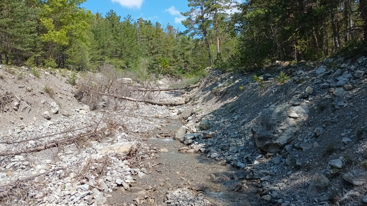 Hautes-Alpes : vaste campagne d'entretien de la végétation sur les cours d'eau de Serre-Ponçon Val d'Avance Hautes-Alpes : vaste campagne d'entretien de la végétation sur les cours d'eau de Serre-Ponçon Val d'Avance
