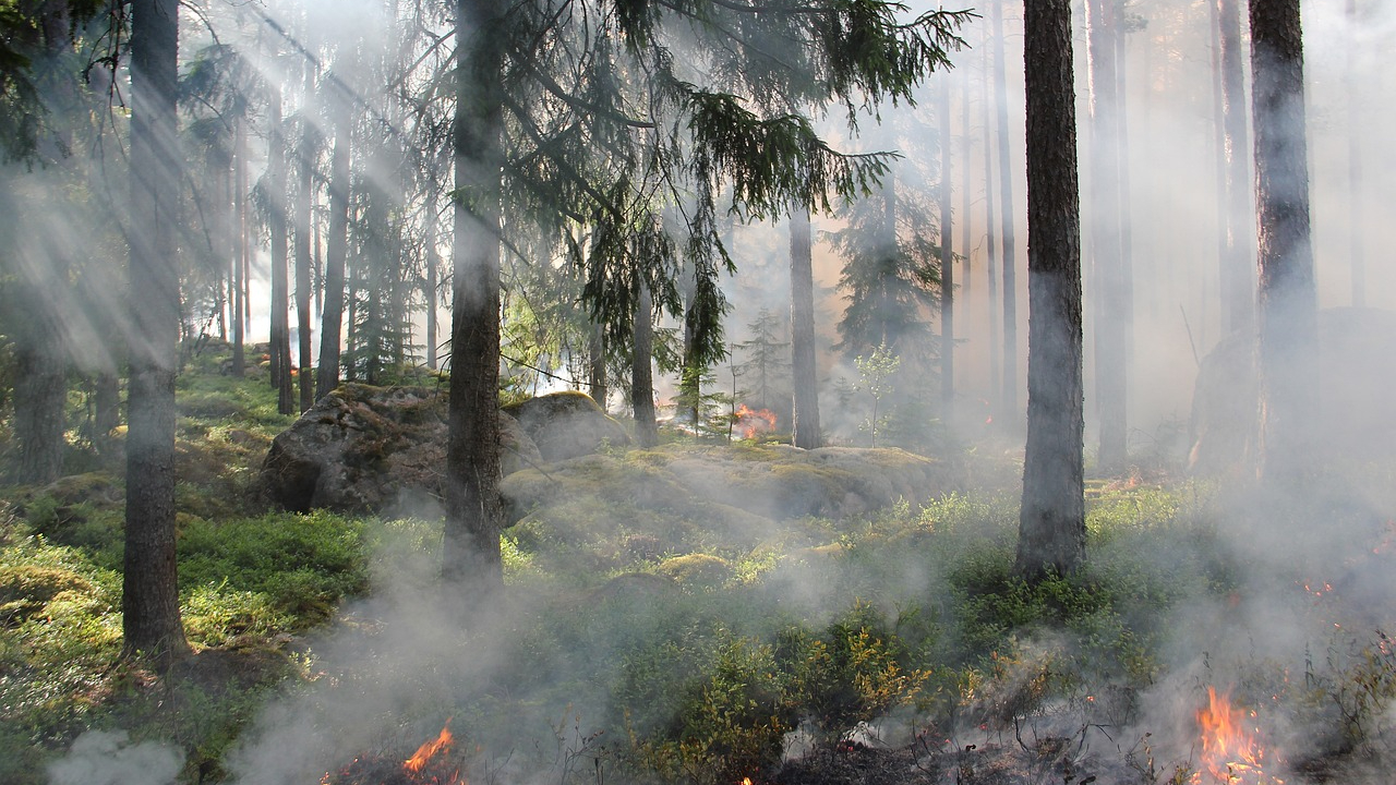 Hautes-Alpes : vigilance feux de forêt
