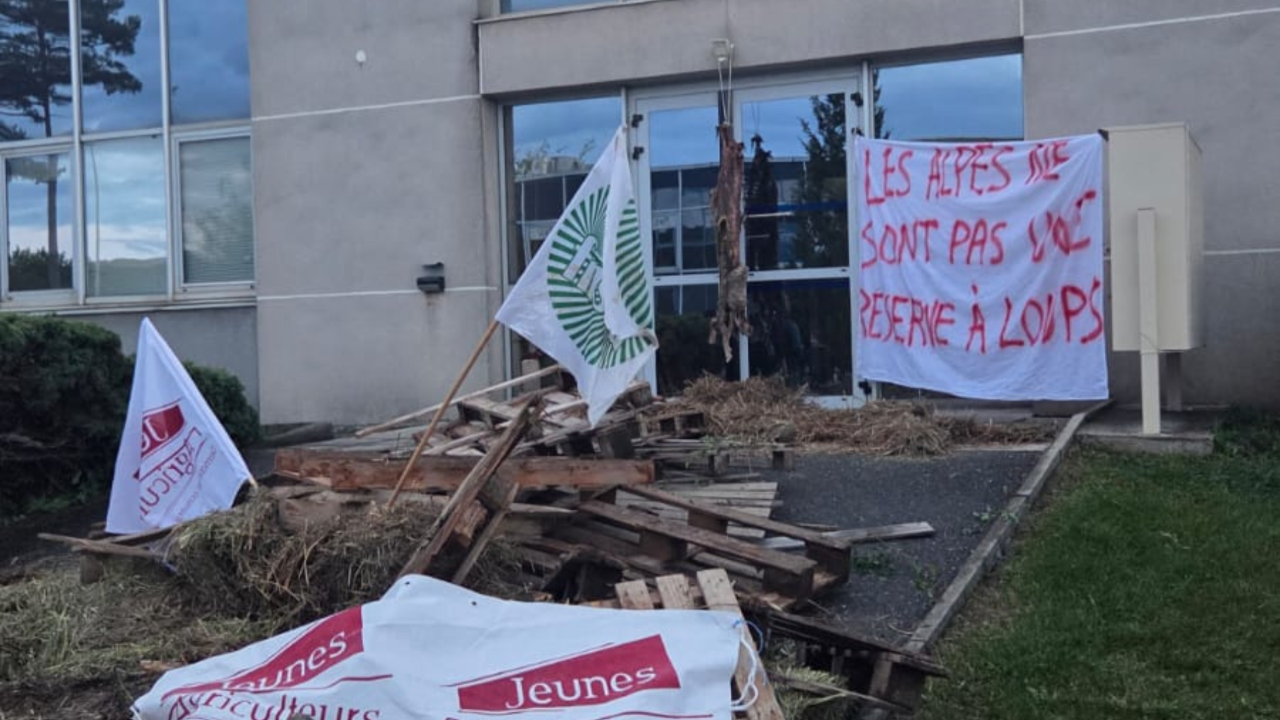 &laquo; L&rsquo;arc alpin n&rsquo;est ni un sanctuaire pour loups ni une zone d&rsquo;exp&eacute;rimentation &raquo; pour les syndicats agricoles