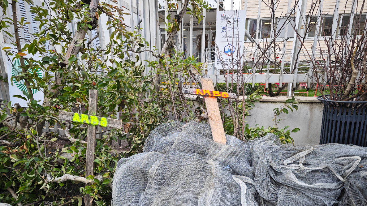 Les arboriculteurs inquiets dans les Hautes-Alpes face à "toujours plus de normes"